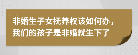 非婚生子女抚养权该如何办，我们的孩子是非婚就生下了