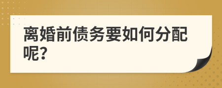 离婚前债务要如何分配呢？