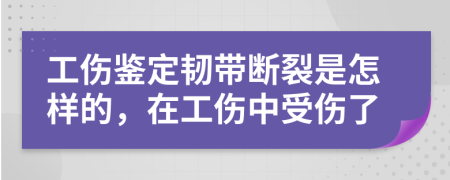 工伤鉴定韧带断裂是怎样的，在工伤中受伤了