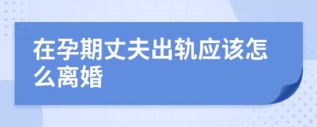 在孕期丈夫出轨应该怎么离婚