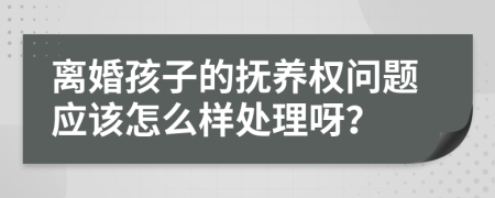 离婚孩子的抚养权问题应该怎么样处理呀？