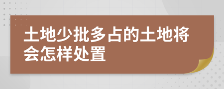 土地少批多占的土地将会怎样处置