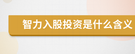 智力入股投资是什么含义