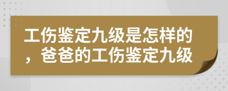 工伤鉴定九级是怎样的，爸爸的工伤鉴定九级