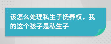 该怎么处理私生子抚养权，我的这个孩子是私生子