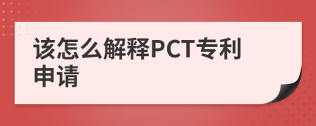 该怎么解释PCT专利申请