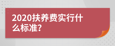 2020扶养费实行什么标准？