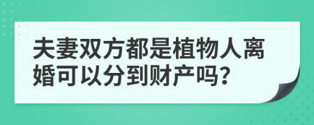 夫妻双方都是植物人离婚可以分到财产吗？