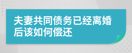 夫妻共同债务已经离婚后该如何偿还