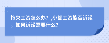 拖欠工资怎么办？,小额工资能否诉讼，如果诉讼需要什么？