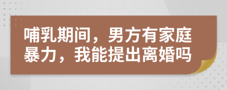 哺乳期间，男方有家庭暴力，我能提出离婚吗