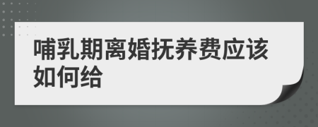 哺乳期离婚抚养费应该如何给