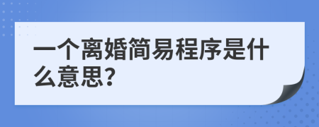 一个离婚简易程序是什么意思？