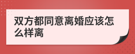 双方都同意离婚应该怎么样离