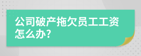 公司破产拖欠员工工资怎么办?