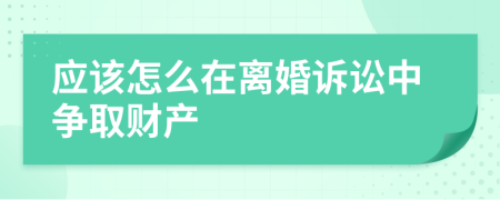 应该怎么在离婚诉讼中争取财产