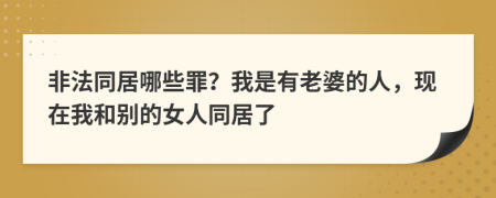 非法同居哪些罪？我是有老婆的人，现在我和别的女人同居了