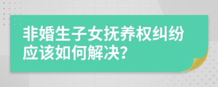 非婚生子女抚养权纠纷应该如何解决？