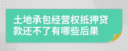 土地承包经营权抵押贷款还不了有哪些后果