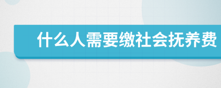 什么人需要缴社会抚养费