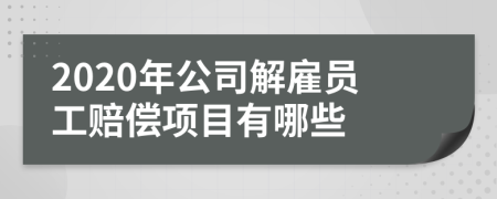 2020年公司解雇员工赔偿项目有哪些