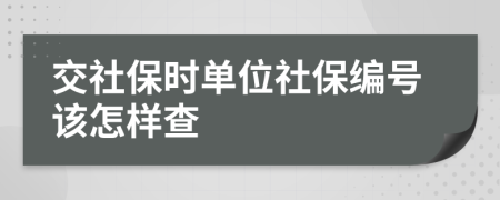 交社保时单位社保编号该怎样查