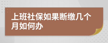 上班社保如果断缴几个月如何办