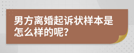 男方离婚起诉状样本是怎么样的呢？