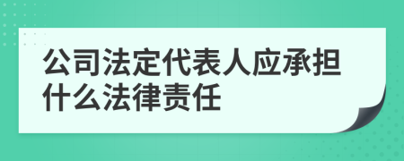 公司法定代表人应承担什么法律责任