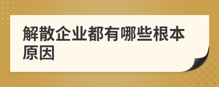 解散企业都有哪些根本原因