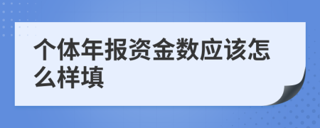 个体年报资金数应该怎么样填