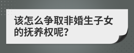 该怎么争取非婚生子女的抚养权呢？