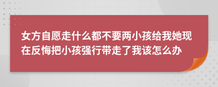 女方自愿走什么都不要两小孩给我她现在反悔把小孩强行带走了我该怎么办