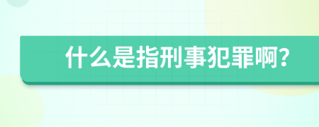 什么是指刑事犯罪啊？