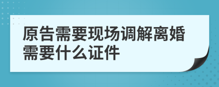 原告需要现场调解离婚需要什么证件