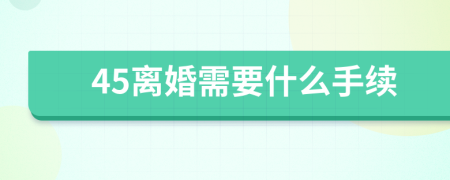 45离婚需要什么手续