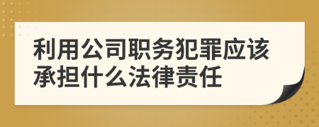 利用公司职务犯罪应该承担什么法律责任