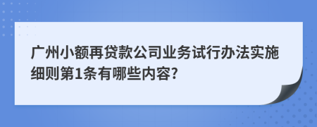 广州小额再贷款公司业务试行办法实施细则第1条有哪些内容?
