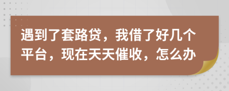 遇到了套路贷，我借了好几个平台，现在天天催收，怎么办