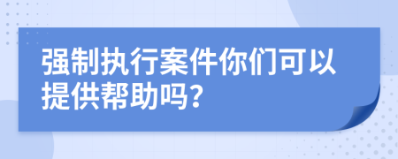 强制执行案件你们可以提供帮助吗？