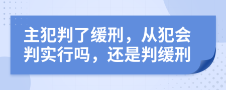 主犯判了缓刑，从犯会判实行吗，还是判缓刑