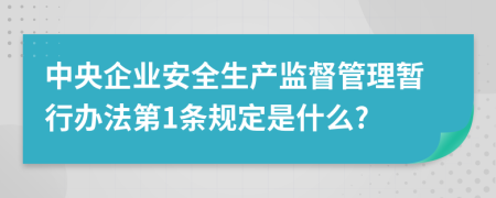 中央企业安全生产监督管理暂行办法第1条规定是什么?