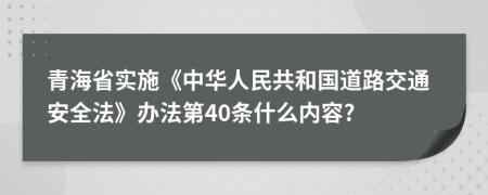 青海省实施《中华人民共和国道路交通安全法》办法第40条什么内容?