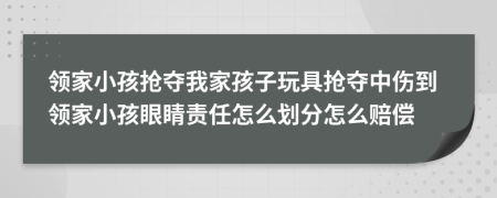 领家小孩抢夺我家孩子玩具抢夺中伤到领家小孩眼睛责任怎么划分怎么赔偿