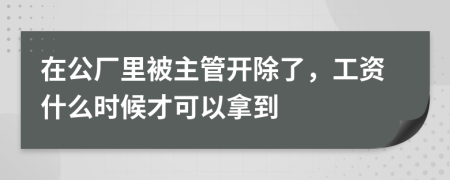 在公厂里被主管开除了，工资什么时候才可以拿到