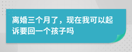 离婚三个月了，现在我可以起诉要回一个孩子吗