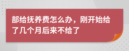 部给抚养费怎么办，刚开始给了几个月后来不给了