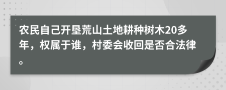 农民自己开垦荒山土地耕种树木20多年，权属于谁，村委会收回是否合法律。