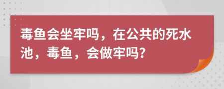 毒鱼会坐牢吗，在公共的死水池，毒鱼，会做牢吗？