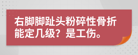 右脚脚趾头粉碎性骨折能定几级？是工伤。